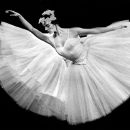 ballett51.jpg