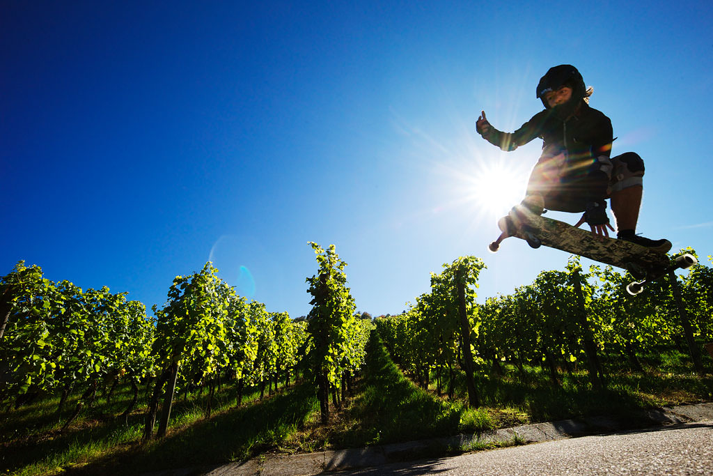 Skater im Weinberg